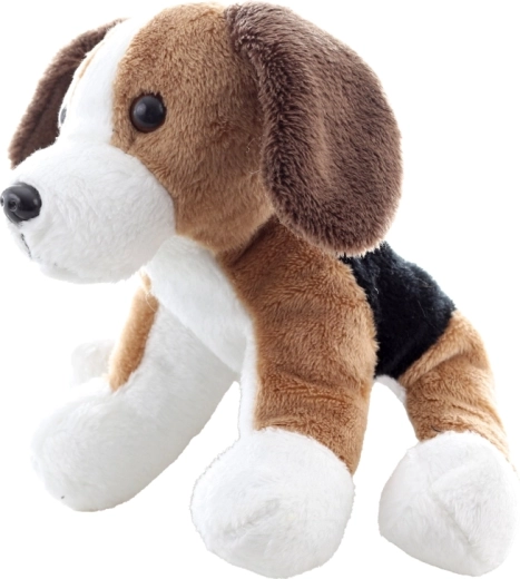 Dettagli adorabili del beagle