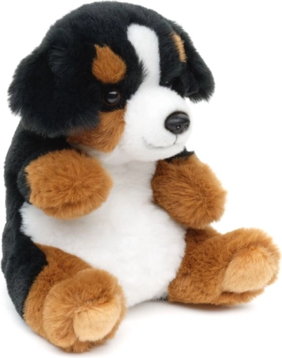 Sicuro dalla nascita