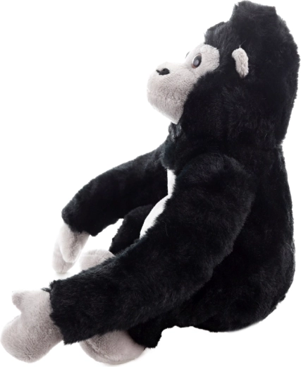 Dimensioni compatte e versatili