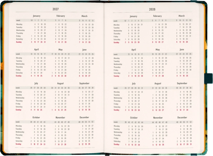 Rapida panoramica annuale 2027/2028