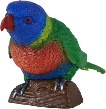 Dettagli colorati dipinti a mano