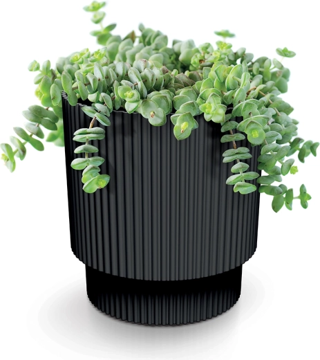 Ideale per erbe aromatiche e piante grasse