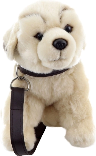 Gioco della passeggiata grazie a collare e guinzaglio