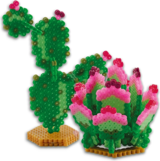 Effetto 3D per cactus e succulente d