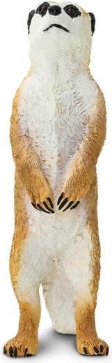 Materiale sicuro e atossico