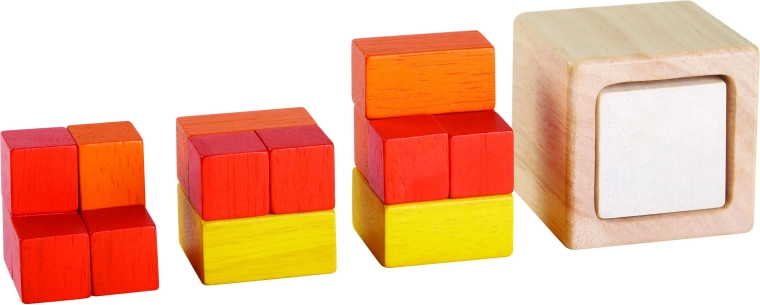 Sviluppo della logica e della percezione spaziale