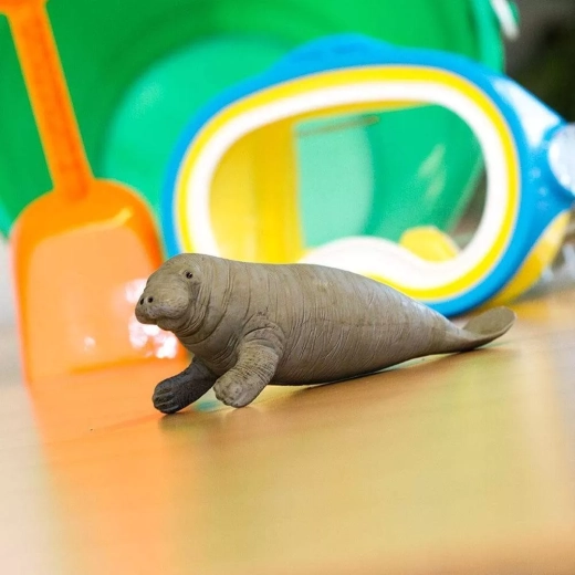 Dimensione ideale per la mano dei bambini e per l’esposizione