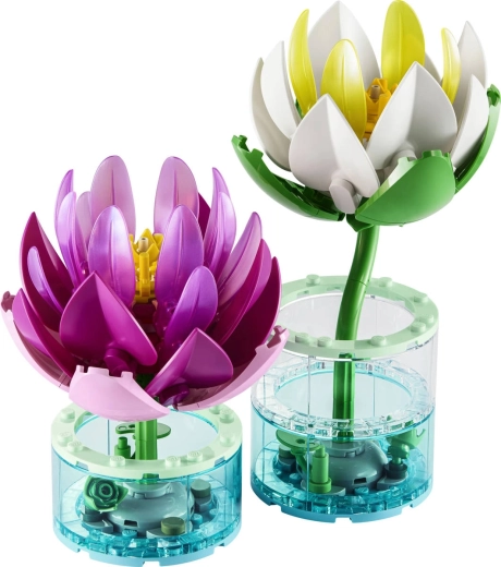 Due fiori di ninfea da costruire