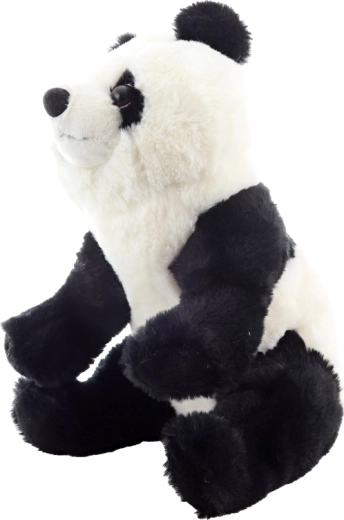 Dettagli adorabili che catturano l’attenzione