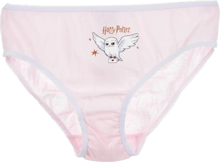 Motivo Harry Potter con licenza