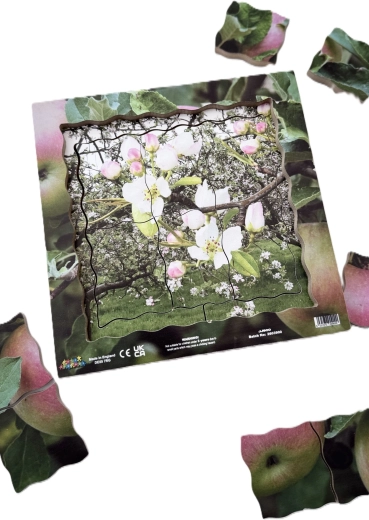 Fotografie reali della natura