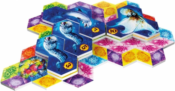 Costruite scogliere coralline mozzafiato