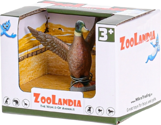 Pronte per essere donate o esposte