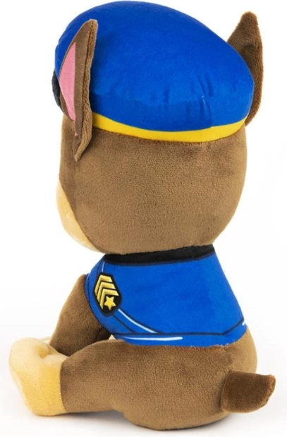 Uniforme della polizia