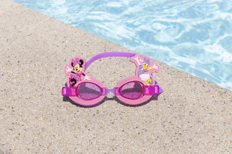Magica decorazione di Minnie e Daisy