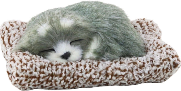 Sonno realistico su comoda cuccia