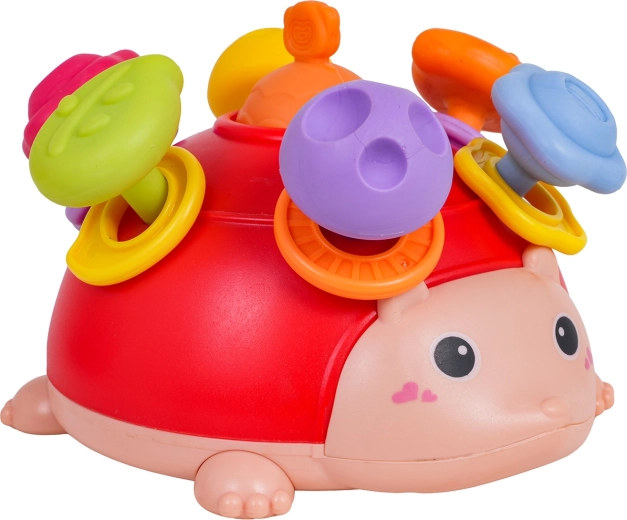 Anelli sonori e divertente incastro