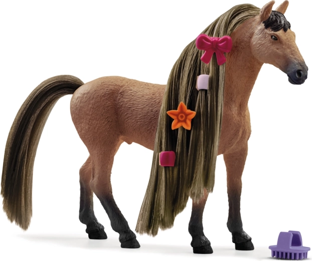 Stallone Akhal-Teke da esposizione