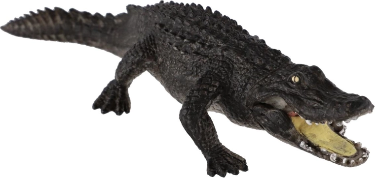 Scoperta di una specie a rischio