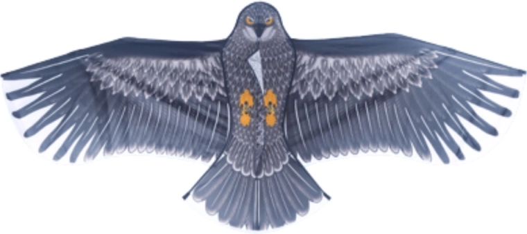 Design realistico dell’aquila