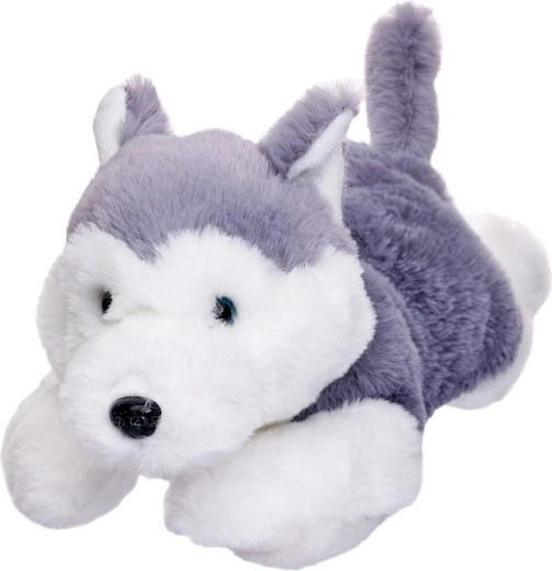 Peluche cane husky sdraiato 35 cm