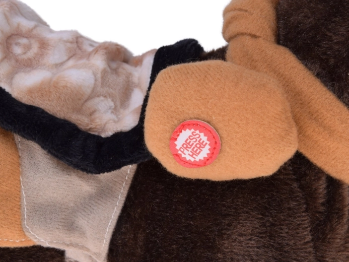 Cammina, nitrisce e balla sulla musica country