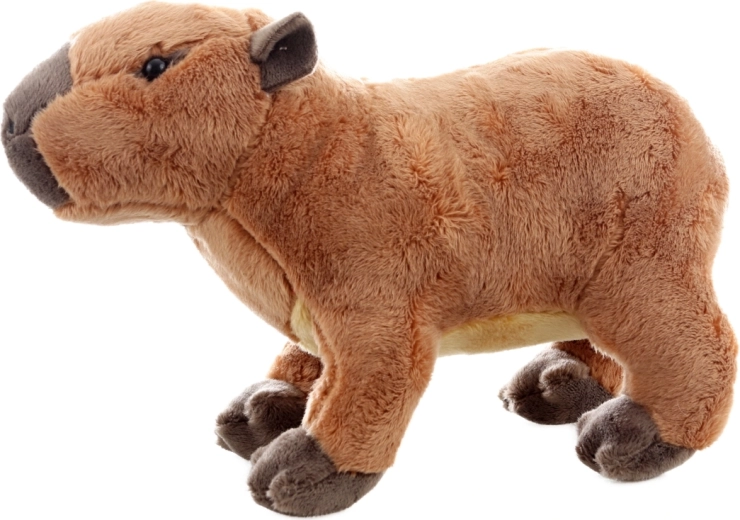 Sicura fin dalla nascita