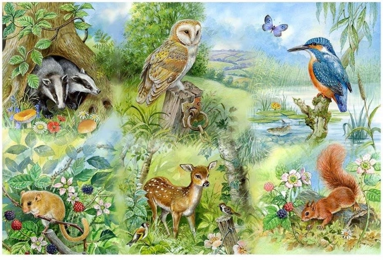 Puzzle Studio della Natura 250 pezzi