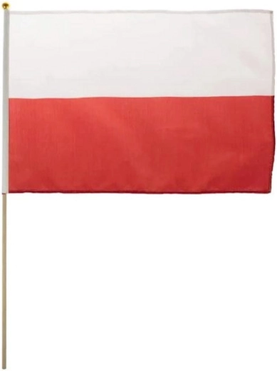 Piccola bandiera nazionale