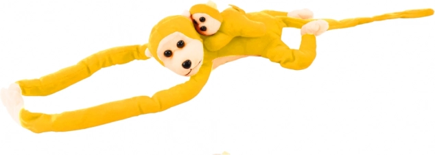 Scimmietta con cucciolo