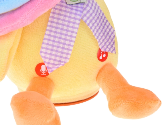 Registrazione e ripetizione della voce