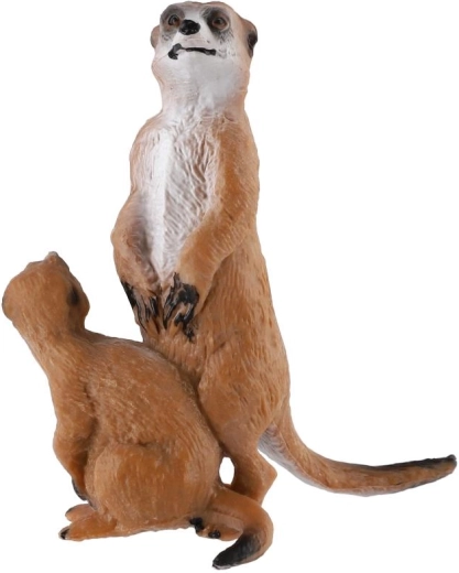 Coppia realistica di suricate