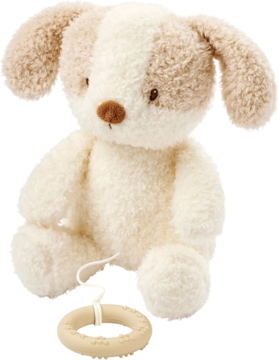 Nattou cagnolino musicale in peluche Teddy 24 cm