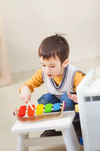 Giocattolo ecologico e sicuro di PlanToys