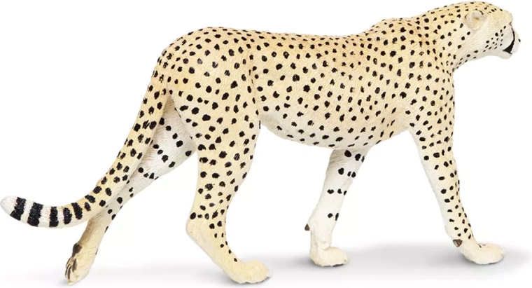 Qualità del marchio Safari Ltd.