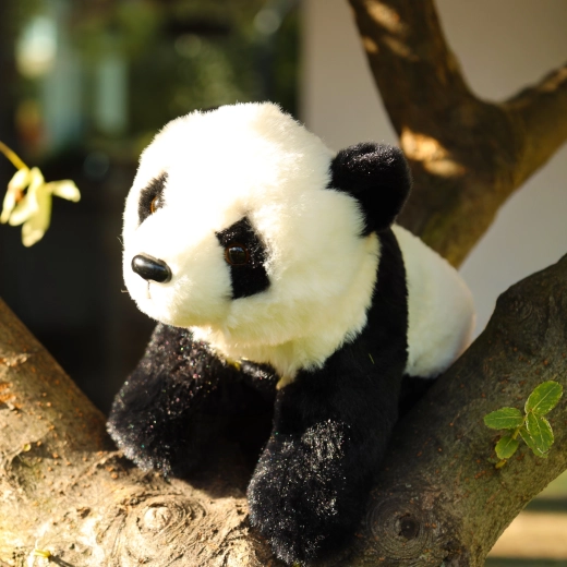 Panda adorabile da coccolare