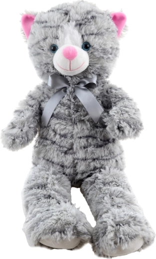 Dettagli adorabili e fiocchetto