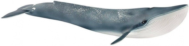 Schleich 14806 Balenottera Azzurra