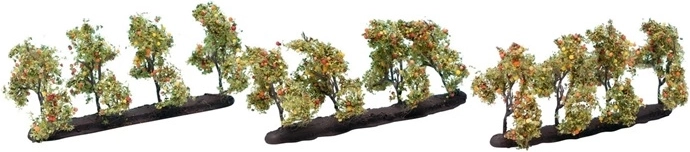 Melo Noch con frutti 3,5 cm (12 pz)
