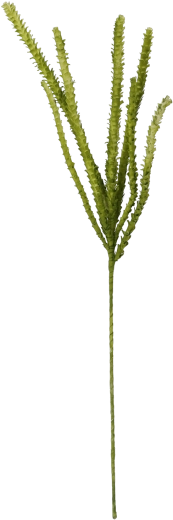 Erba decorativa 107 cm verde
