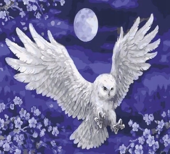 Norimpex Dipingi con i numeri Gufo e luna 40 × 50 cm