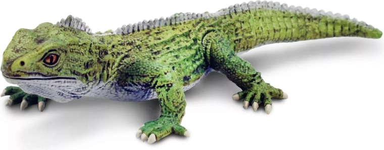 Safari Ltd. statuetta di tuatara