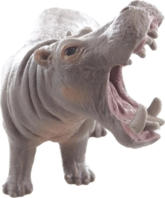 Ideale per imparare sugli animali