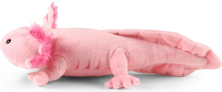 Dimensione 34 cm per piccoli e grandi coccoloni