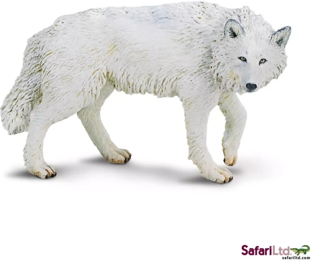 Lupo polare Safari Ltd.