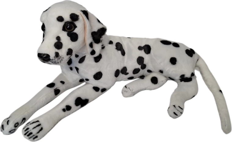 Cane di peluche dalmata - 1 pezzo