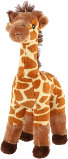 Aspetto adorabile della giraffa