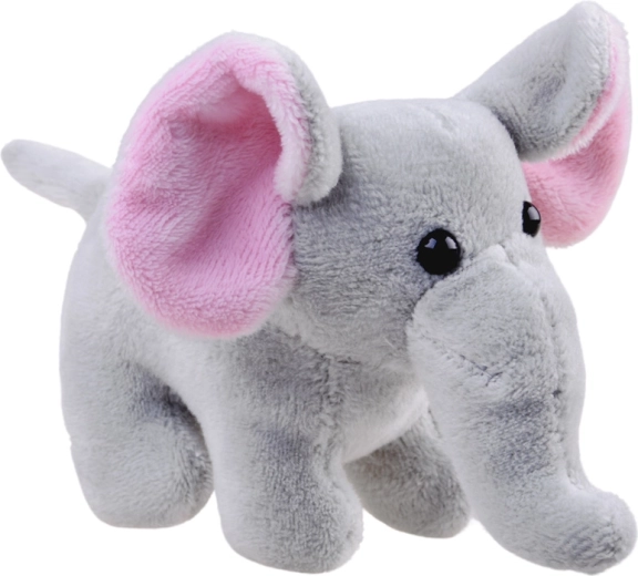 Simpatici dettagli da elefante