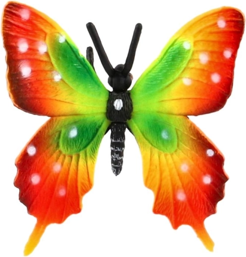 Ali dai colori vivaci