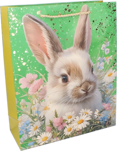 Dimensioni e capienza pratiche